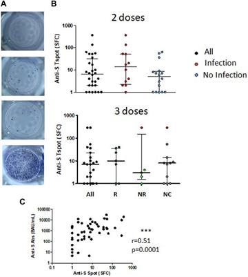 Optimizing COVID-19 Vaccination Strategy in Pediatric Kidney Transplant Recipients: Humoral and Cellular Response to SARS-CoV-2 mRNA Vaccination